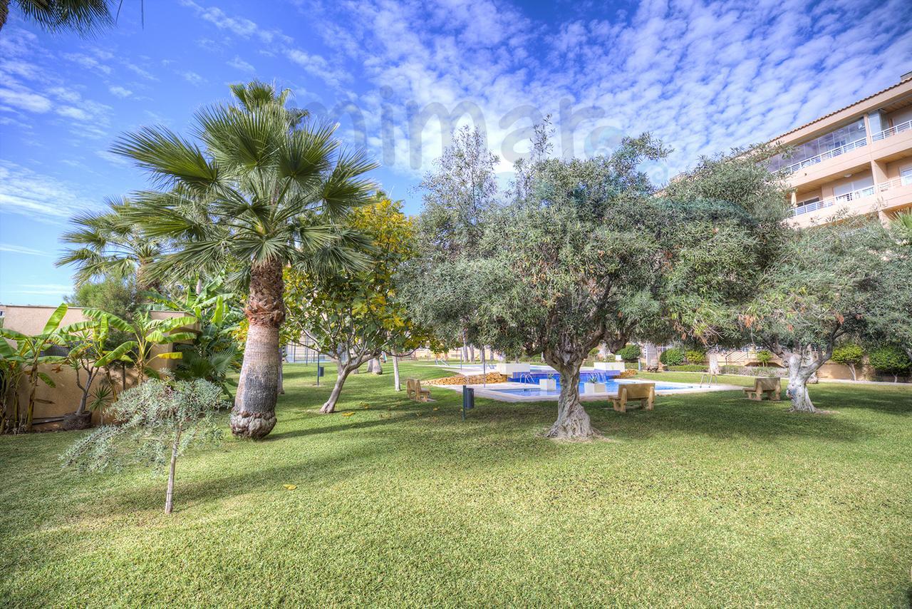 Apartmán Alborada Golf By Mimar El Albir Exteriér fotografie